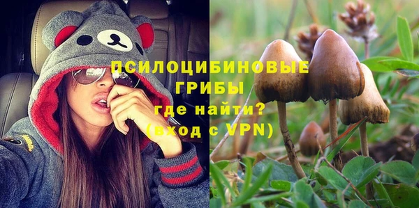 сатива Арсеньев
