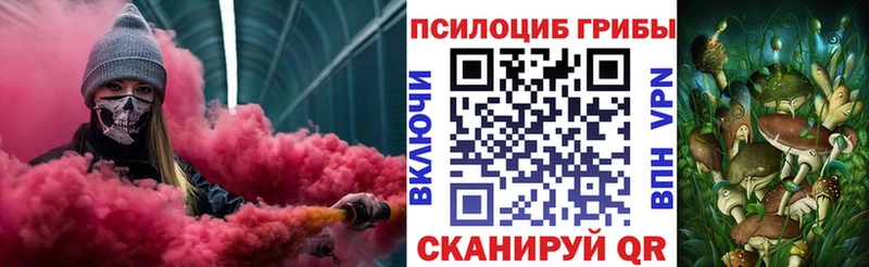 купить наркотики сайты  Озёры  Псилоцибиновые грибы MAGIC MUSHROOMS 